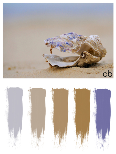 Picture,color blends, color combination,shell