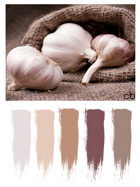 Picture,color blends, color combination,garlic