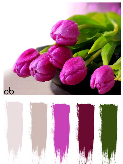 Picture,color blends, color combination,purple tulips