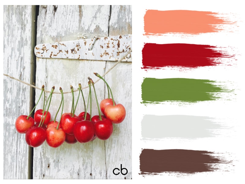 Picture,color blends, color combination,cherries