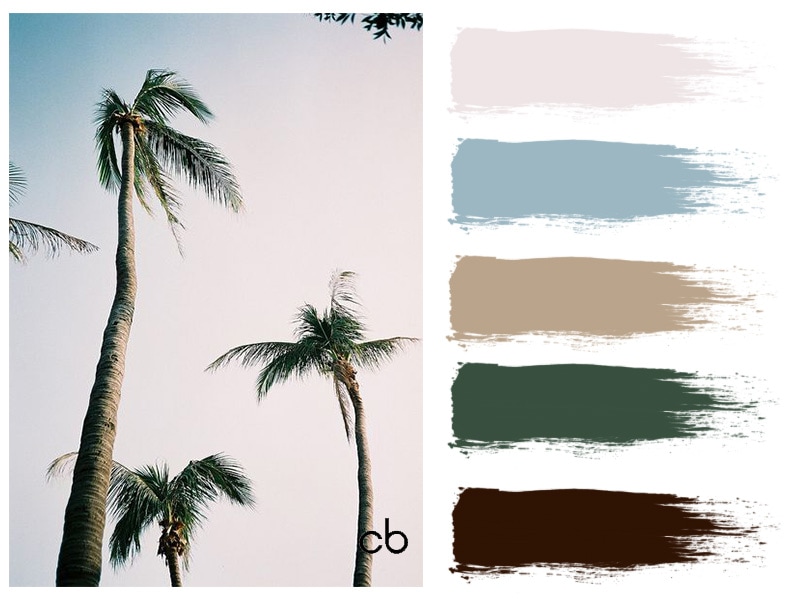 Picture,color blends, color combination,coconut tree