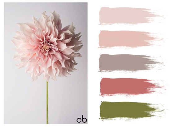 Picture,color blends, color combination,hippie flower