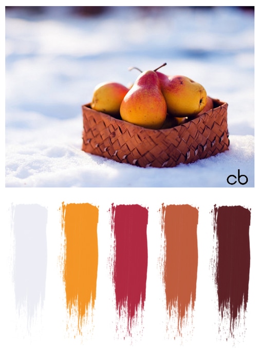 Picture,color blends, color combination,pears in snow