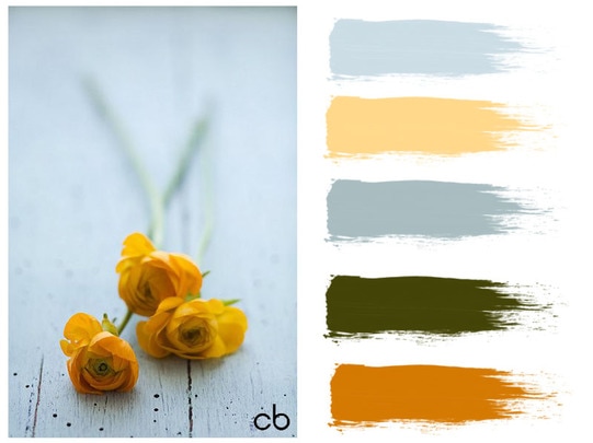 Picture,color blends, color combination,yellow buds