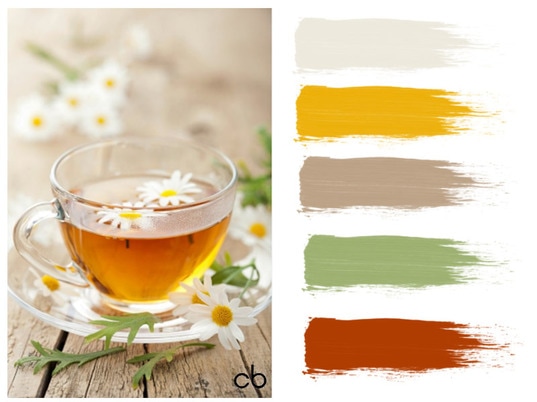 Picture,color blends, color combination,cup of chamonile