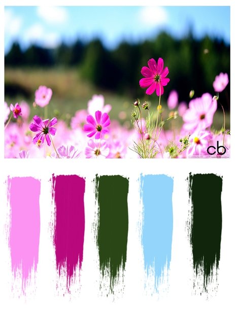 color blends, color combination,country,flowers