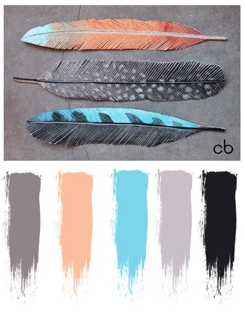 color blends, color combination,feathers