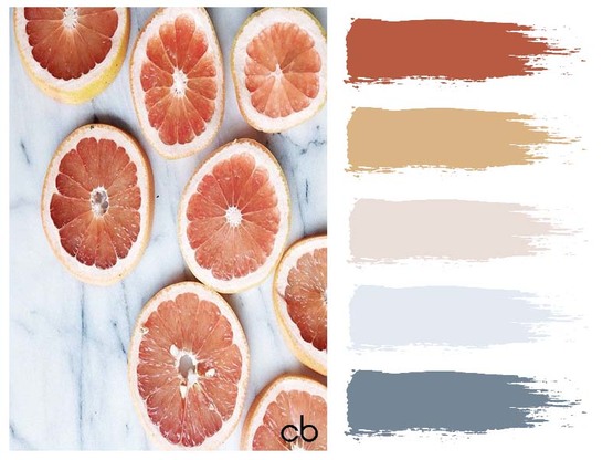 Picture,color blends, color combination,grapefruit
