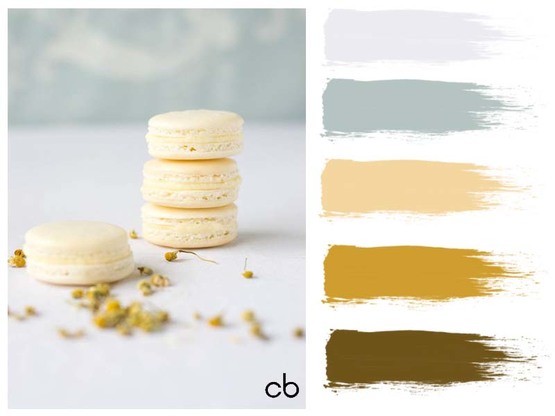 Picture,color blends, color combination,chamonile macarons