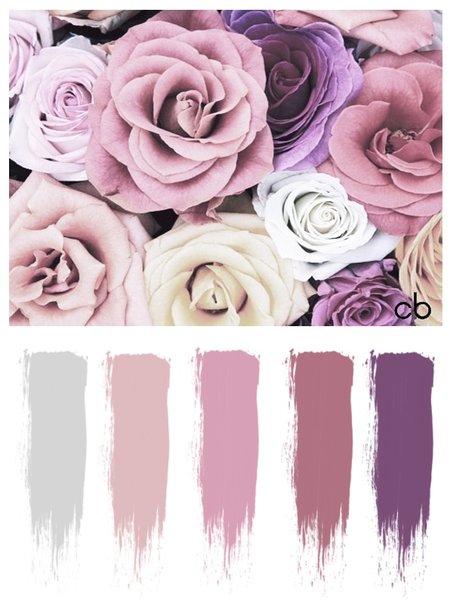 color blends, color combination, purple reses