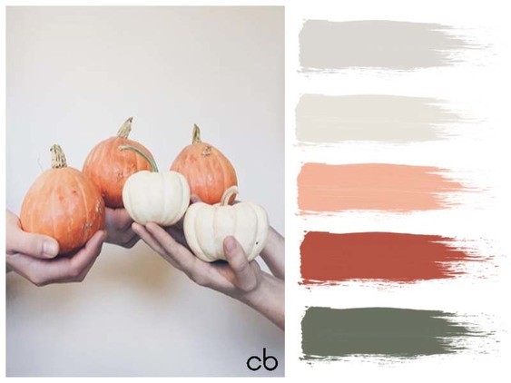 Picture,color blends, color combination,pumpkin