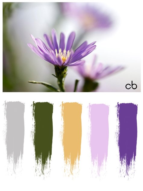 color blends, color combination, purple flower