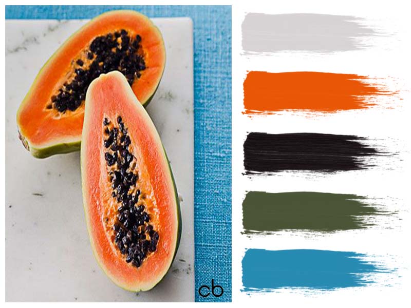color blends, color combination, papaya, tropic fruit
