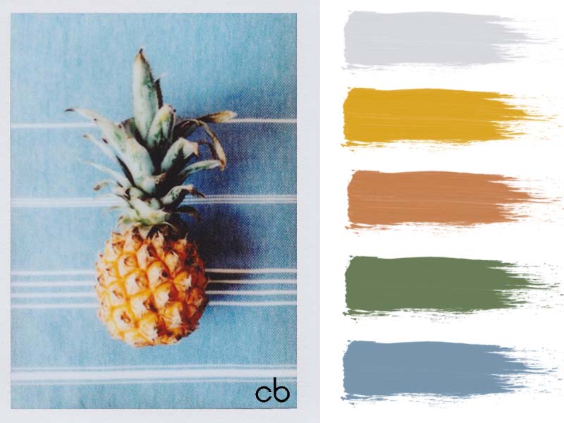 Picture,color blends, color combination, mini pineapple