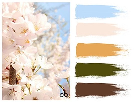 color blends, color combination, almond tree