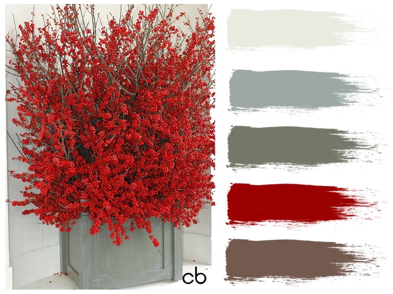 Picture,color blends, color combination,red dried flowers